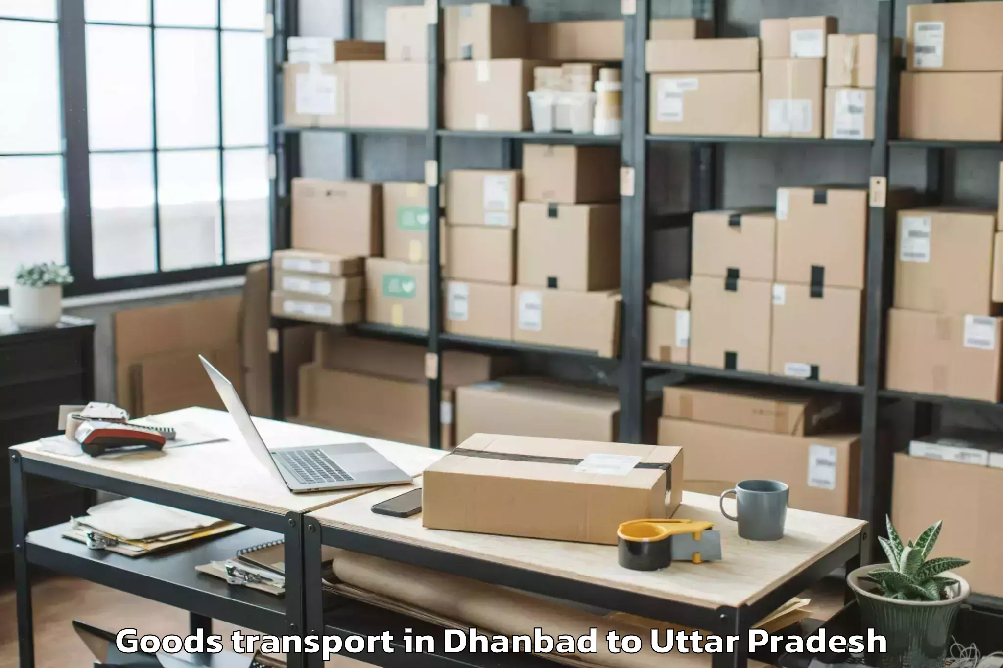 Dhanbad to Teerthanker Mahaveer Universit Goods Transport